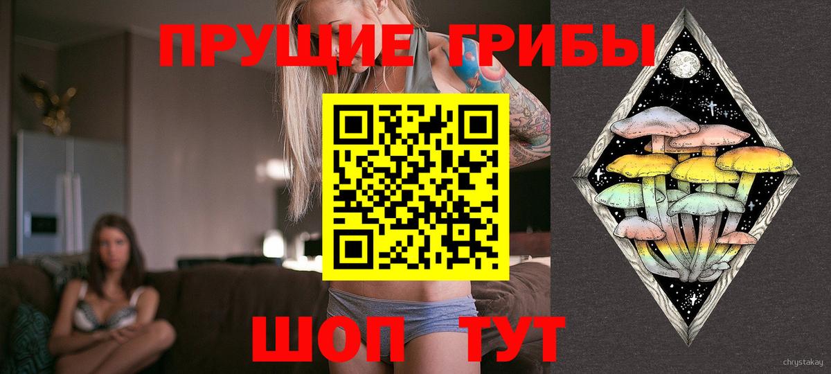 Ливны  цена   Вход с VPN  Псилоцибиновые грибы мицелий 